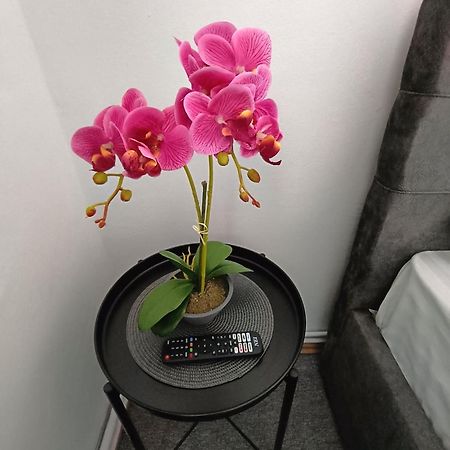 Chic Boutique Dumbrava Apartment ซีบิว ภายนอก รูปภาพ